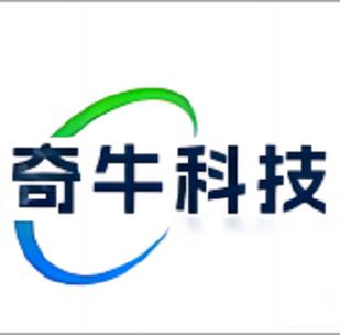 计算机系统服务;信息技术咨询服务;人工智能应用软件开发;技术服务